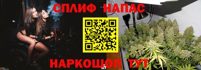 spice Усть-Джегута