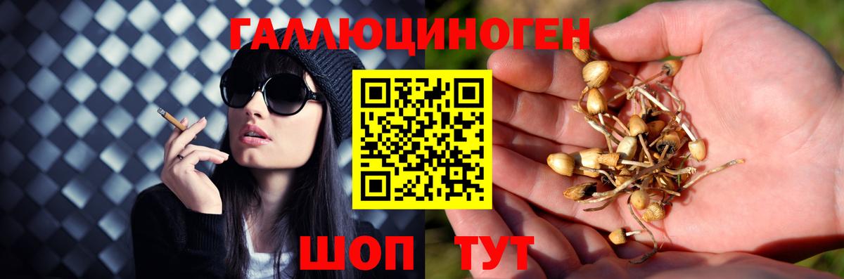 наркота  Псилоцибиновые грибы мицелий  Вход с VPN  Михайловск 