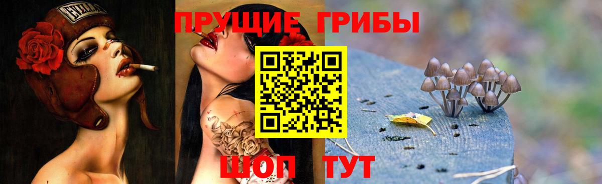 Галлюциногенные грибы MAGIC MUSHROOMS Михайловск
